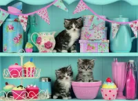 Puzzle Kittens on a shelf