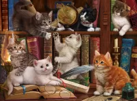 Jigsaw Puzzle Kittens in the library
