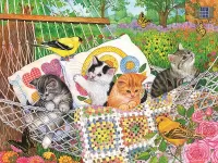 Puzzle Kittens in hammock