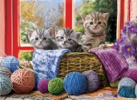 Puzzle Kittens in a basket