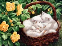 Puzzle Kittens in basket