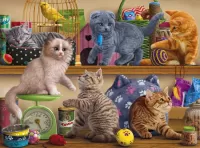 パズル Kittens at the pet store