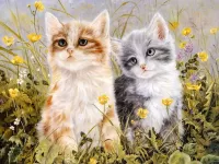 Zagadka Kittens