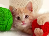 Quebra-cabeça Kitten and ball of yarn