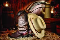 Quebra-cabeça Cowboy boots
