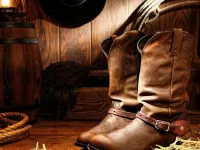 Zagadka Cowboy boots
