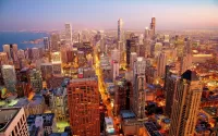 Jigsaw Puzzle Handsome Chicago