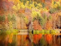 Bulmaca Paints of autumn