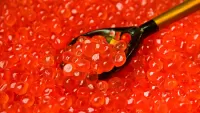 Quebra-cabeça Red caviar