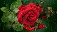 Jigsaw Puzzle Red Rose