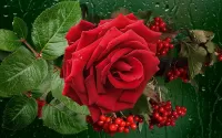Jigsaw Puzzle Red Rose