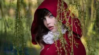 Bulmaca Little Red Riding Hood
