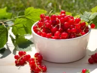 Jigsaw Puzzle Red currants 2
