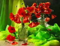 Puzzle Red poppies