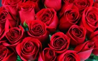 Slagalica Red roses