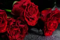 Rompicapo Red roses