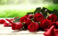 Quebra-cabeça Red roses