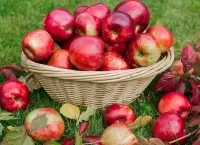 Jigsaw Puzzle red apples