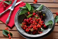Jigsaw Puzzle Red berries