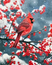 Puzzle Red cardinal