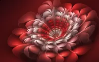 Zagadka Red flower