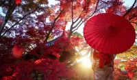 Bulmaca Red umbrella
