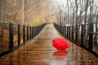 Пазл Красный зонт
