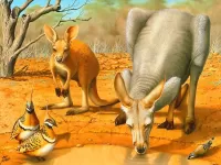 Jigsaw Puzzle Krasniy kenguru