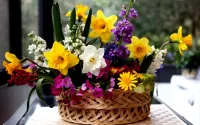 Zagadka Beauty in a basket
