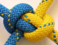 パズル A strong knot