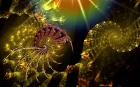 Quebra-cabeça Shrimp and spiral