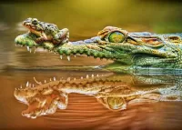 Пазл Крокодил и лягушка