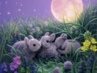 Puzzle Infant rabbits