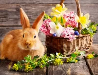 Jigsaw Puzzle Rabbit and flowers