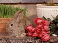 Quebra-cabeça Rabbit and flowers