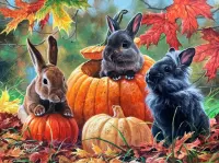 Слагалица Rabbits and pumpkins