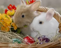 Jigsaw Puzzle Rabbits in a basket