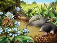 Jigsaw Puzzle Mole and mice