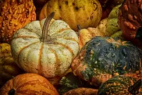 Rätsel Large pumpkin