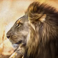 Quebra-cabeça Lion the king