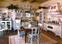 Jigsaw Puzzle Proven style kitchen