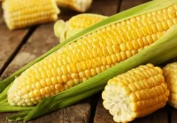 パズル Corn
