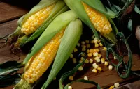Rätsel Corn