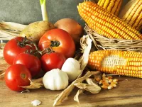 Jigsaw Puzzle Corn with vegetables