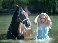 Jigsaw Puzzle Bathing of a horse