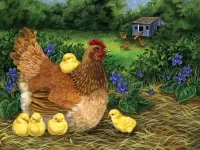 Пазл Курица с цыплятами