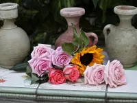 Пазл Кувшины и цветы