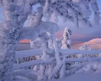 Quebra-cabeça Lapland