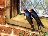 Jigsaw Puzzle Swallows