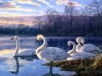 Jigsaw Puzzle Swans